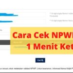6 Cara Mengetahui Nomor NPWP Cepat Dan Mudah