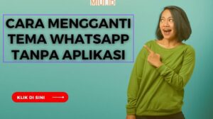 Cara Mengganti Tema WhatsApp Tanpa Aplikasi