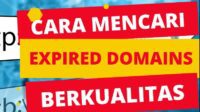 Rahasia Cara Mencari Domain Expired Berkualitas.