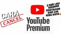 Cara Membatalkan Youtube Premium Di Android, iOS Dan PC.