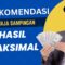 10 Rekomendasi Kerja Sampingan, Hasil Maksimal.