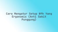 Cara Mengatur Setup WFH yang Ergonomis (Anti Sakit Punggung)