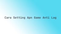 Cara setting APN game anti lag